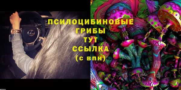 первитин Алексеевка