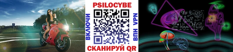 omg ссылки  Кирс  Галлюциногенные грибы Psilocybine cubensis  цена наркотик 
